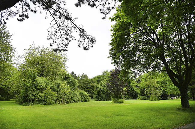 Westfriedhof